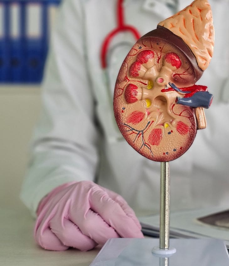 renal-denervation-dr-sayan-sen-content-list